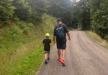 Tocht Stappen La Bresse - La bresse - Photo