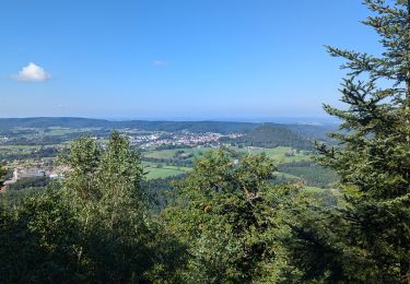 Excursión Paseo ecuestre Biffontaine - suuntoapp-HorsebackRiding-2024-09-21T07-45-47Z - Photo