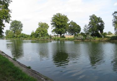 Randonnée A pied Nordheim - Z7 Panoramatour Heuchelberg - Photo