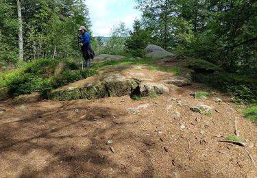 Tour Wandern Gerdsee - le saut de la bourique Gérardmer 08/08/23 - Photo