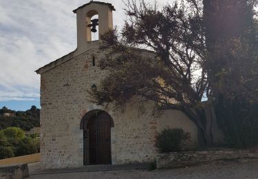 Trail Walking Valensole - La chapelle Ste Marguerite, à gauche au 4 chemins. Vatiante - Photo