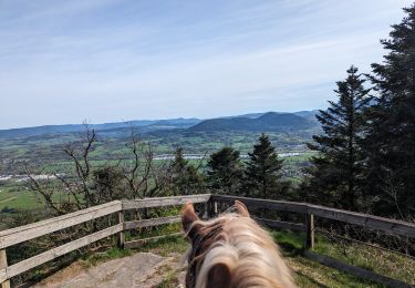 Trail Horseback riding Nompatelize - suuntoapp-HorsebackRiding-2024-04-13T07-02-45Z - Photo