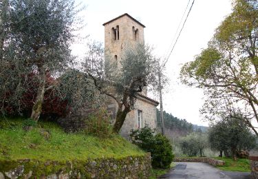 Trail On foot Capannori - 