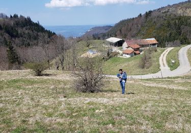 Randonnée A pied Malleval-en-Vercors - Col de Neurre- Bec de Neurre- Pas du Follet (Mars 2019) - Photo