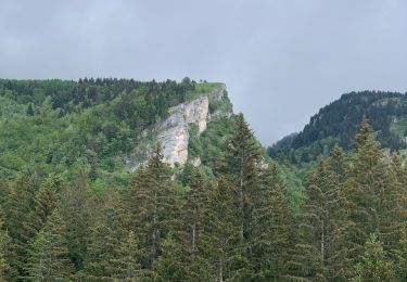 Trail Walking Villard-de-Lans - LA CONVERSARIA 1 - Photo