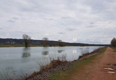 Trail Walking Amfreville-sous-les-Monts - 20190319 -poses - Photo