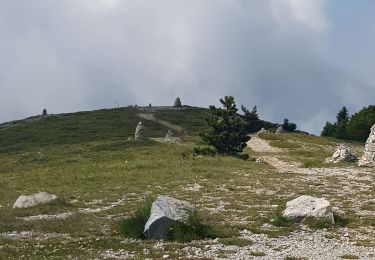 Tour Wandern Saint-Étienne-les-Orgues - Montagne de Lure, le Cairn 2000. - Photo