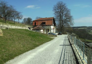 Excursión A pie Mandelbachtal - Lochfeld-Tour - Photo