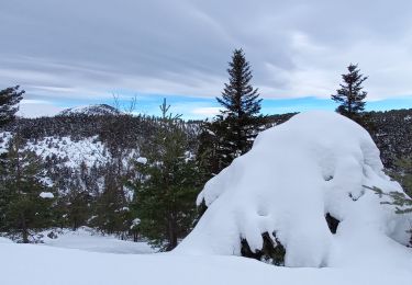 Randonnée Ski de fond Thorame-Haute - ski de fond colle baudet - Photo