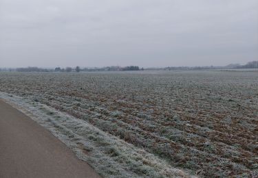 Trail Walking Ham-sur-Heure-Nalinnes - nalinnes centre - Photo