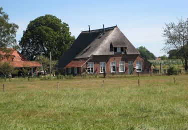 Trail On foot Hof van Twente - WNW Twente - Schoolbuurt/Elsen -oranje route - Photo