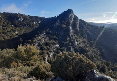 Tocht Trail Mérindol - Merindol 1 - Photo