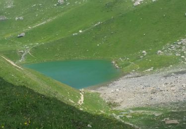 Trail Walking Aime-la-Plagne - col du coin lac d'amour Areches - Photo