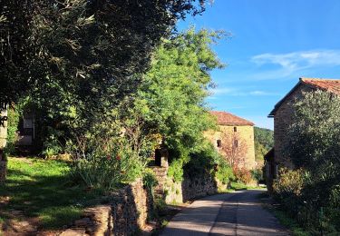 Excursión Senderismo Faugères - Autour de Faugères  - Photo