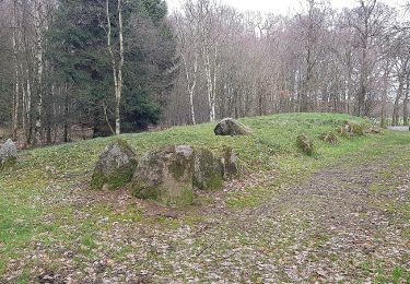 Trail On foot  - Sporet i Præstemosen - Photo