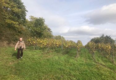 Excursión Senderismo Nordheim - 2024-10-20-Balade Nordheim Marlenberg - Photo