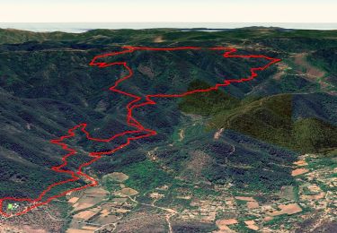 Trail Walking Les Mayons - FFRandonnée-Sur_les_traces_du_decauville - Photo