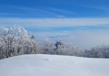 Excursión Raquetas de nieve Haut Valromey - raquettes la chapelle de retort croix de montlery - Photo