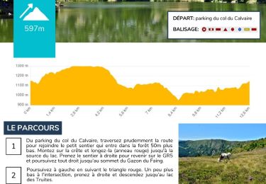 Trail Walking Le Bonhomme - 2024-07-24_18h18m55_230110313 - Photo