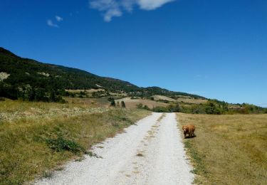 Trail Walking La Rochette-du-Buis - De La Sorgue aux Granges par La Rochette - Photo