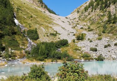 Tocht Stappen Le Monêtier-les-Bains - Lac de la douche - Photo