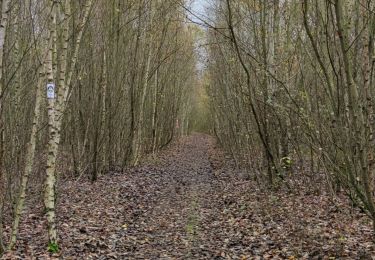 Trail Walking Grâce-Hollogne - Randonnée à Bierset  - Photo