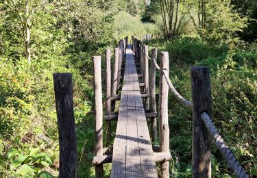 Tocht Stappen Geraardsbergen - Promenade sur des rondins de bois à Idegem - Photo