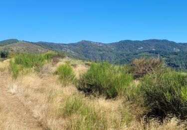 Randonnée Marche Alzon - mont guiral - Photo