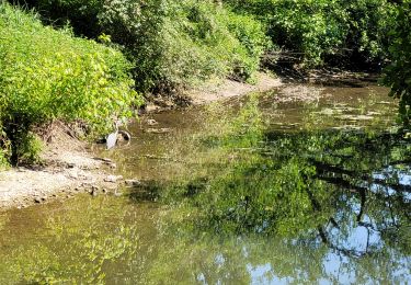 Tour Wandern Brunoy - Bruno06  - Photo