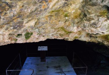 Tour Wandern Le Castellard-Mélan - Grotte de st Vincent et Grande Aiguille au départ-arrivée le col de Fontbelle - Photo