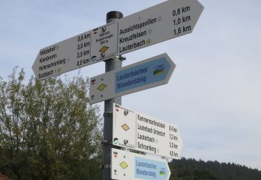 Percorso A piedi Lauterbach - Lauterbacher Wandersteig - Photo