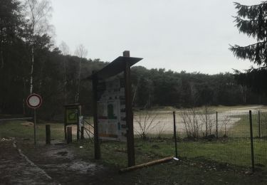 Tocht Noords wandelen Belœil - Mielikki marche nordique - Stambruges - Photo