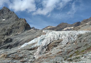 Trail Walking Vallouise-Pelvoux - Les Écrins Glacier Blanc - Photo