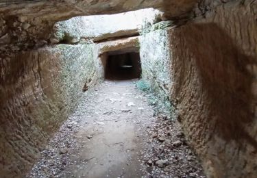 Randonnée Marche Saint-Bonnet-du-Gard - tunnels romains par les crêtes  - Photo