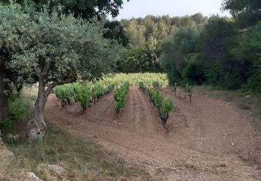 Tocht Stappen Sanary-sur-Mer - Trail Gorguette cerveau - Photo