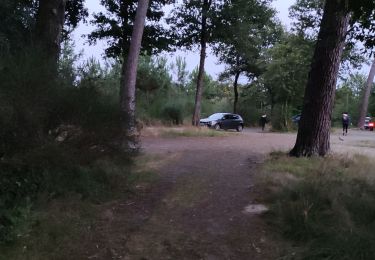 Randonnée Marche Aire-sur-l'Adour - AIRE SUR L'ADOUR terra aventura nocturne  