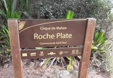 Randonnée Marche La Possession - Cayenne  la Roche Plate  - Photo