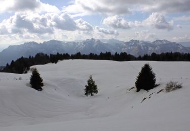 Trail On foot Marmentino - Bovegno - Monte Ario - Photo