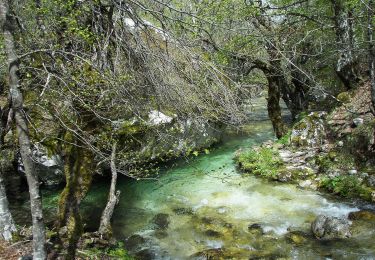 Percorso A piedi Opi - Acqua Sfranatara - Fonte San Cataldo - Photo