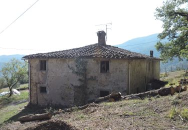 Percorso A piedi Cantagallo - Sentiero CAI 16B - Sez. Prato - Photo