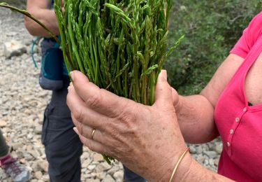 Randonnée Marche Marseille - La Ginette - Photo