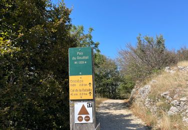 Trail Walking Omblèze - Plateau ambel  - Photo