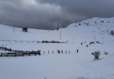 Tocht Stappen Gresse-en-Vercors - Pas du Serpaton - Photo