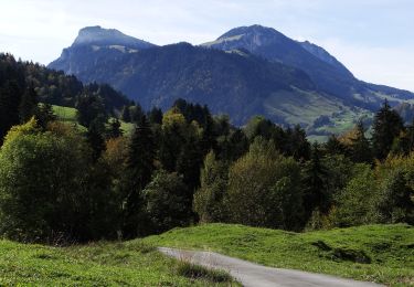 Randonnée A pied Wimmis - Zünigwald - Obere Stalde - Photo