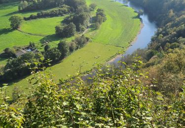 Trail Walking Seraing - boncelles - Photo