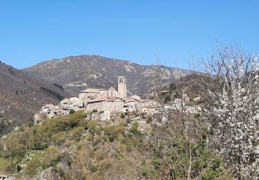 Tocht Stappen Vallées-d'Antraigues-Asperjoc - Antraigues - Gamondes 17 km - Photo