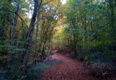 Trail Walking Marchaux-Chaudefontaine - Chaudefontaine - Photo