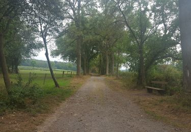 Tour Zu Fuß Eupen - Binster - 3 Km Yellow - Photo