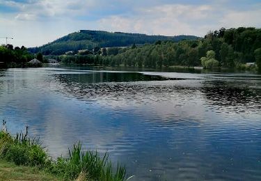 Tour Wandern Vielsalm - Lac des Doyards - Photo