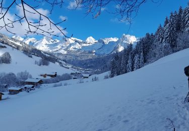 Randonnée Raquettes à neige Le Grand-Bornand - Grand Bornand- G2 - Photo